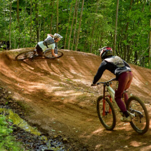 Bike Park Full Day Ticket