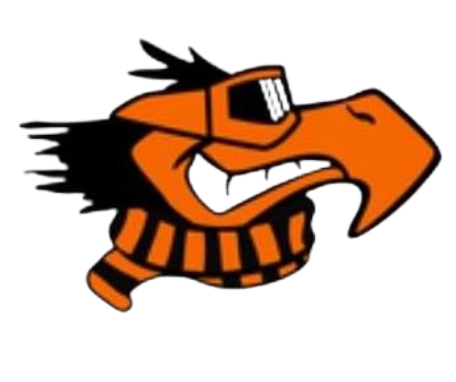 Keene High Blackbirds logo